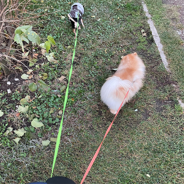Glow Walk Dual Leash – Tangle-Free, Reflective & Smart ✨